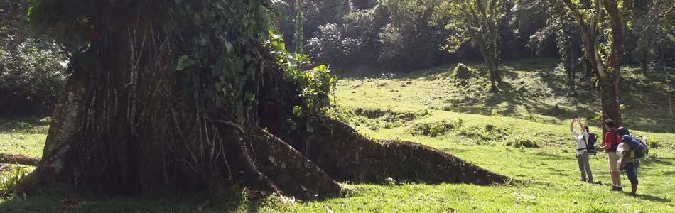 Image is not available