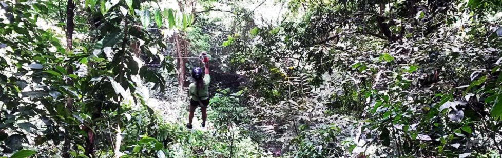 Image is not available