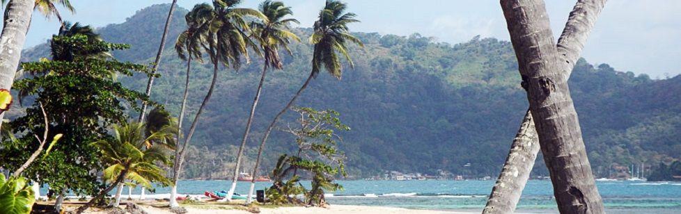 Image is not available